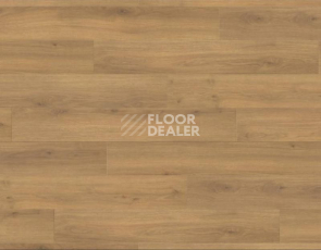 Ламинат Haro Tritty 100 4V ДУБ ЭМИЛИЯ МЕДОВЫЙ 538692 фото 1 | FLOORDEALER